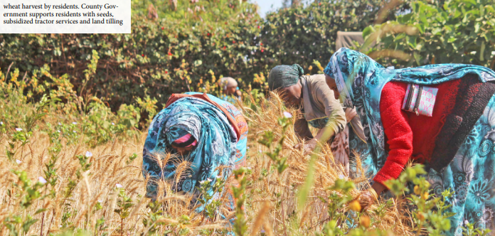DEPARTMENT OF AGRICULTURE, LIVESTOCK AND FISHERIES DEVELOPMENT.
