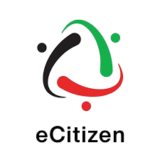 E-Citizen